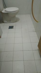 toilet-waterproofing-jb.jpg