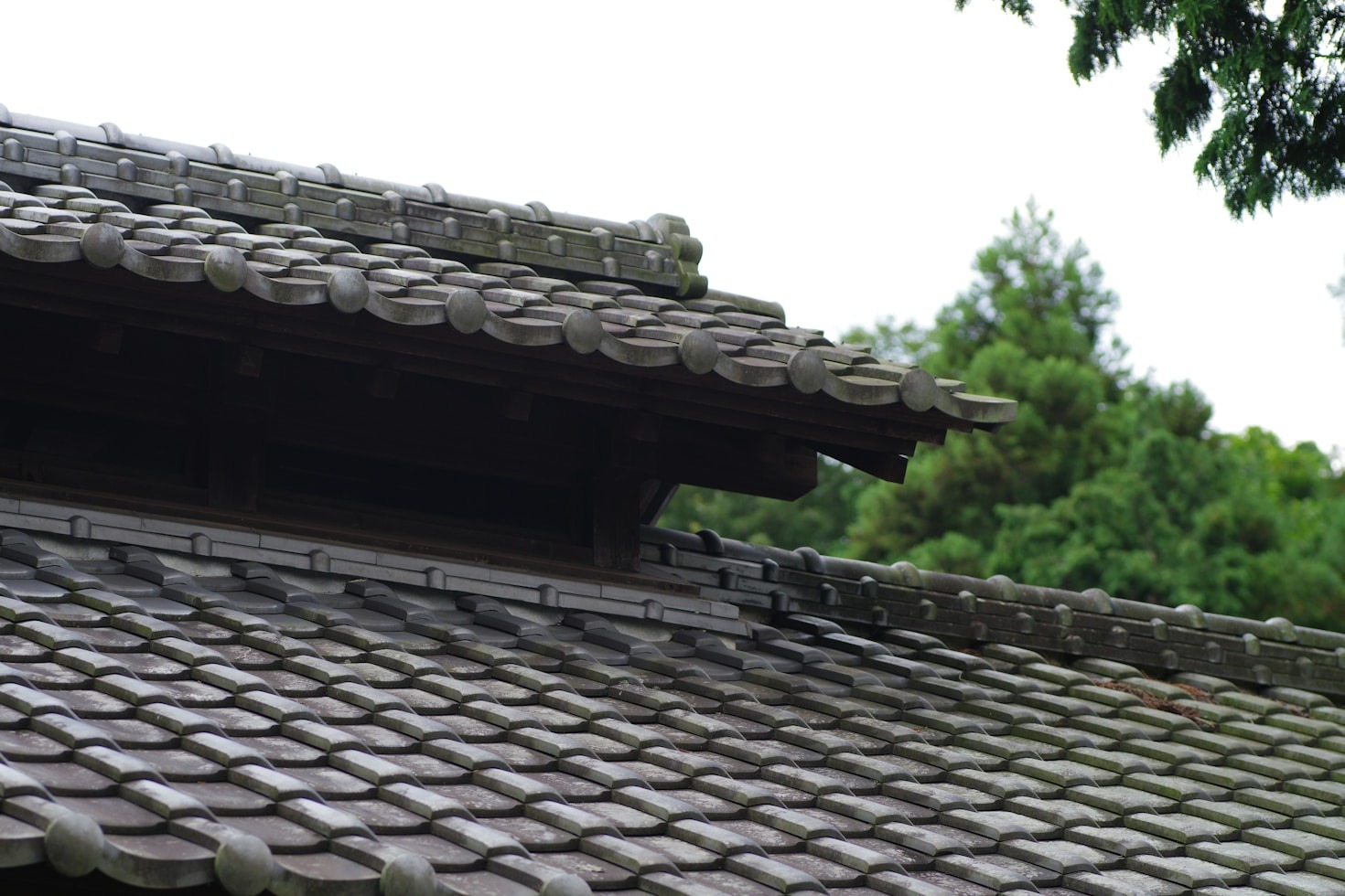 The Hidden Costs of Neglecting Roof Waterproofing
